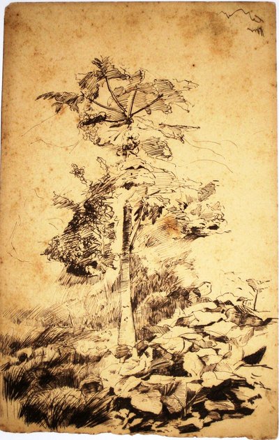 Papaya Tree by Eliseu Visconti
